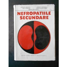 NICOLAE MANESCU, LEONIDA GEORGESCU - NEFROPATIILE SECUNDARE