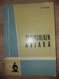 Tuberculoza aviara- C. Vior