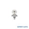 Bec far r2 12v 45/40w cod: p45t Alta marca Alt model #7
