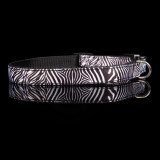 Friendly Dog zgardă negru zebră - 1,6 cm x 26 - 42 cm