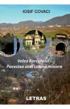 Valea Borcutului. Povestea unei colonii miniere - Iosif Covaci, 2020