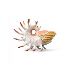 Figurina pictata manual Cooperoceras