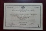 Actiune 1926 Beclean banca Minerva , institut de credit si economii , actiuni