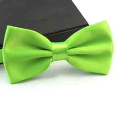Papion pentru barbati, PP019, Verde neon