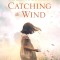 Catching the Wind