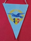 Fanion - Federatia AERONAUTICA Romana - "AEROCLUBUL OLTENIEI"