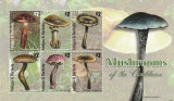 Antigua si Barbuda 2011-Flora,ciuperci,bl.6 valori,dantelate,MNH,Mi.4890-4895 KB, Nestampilat