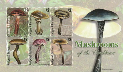 Antigua si Barbuda 2011-Flora,ciuperci,bl.6 valori,dantelate,MNH,Mi.4890-4895 KB foto