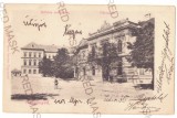 419 - AIUD, Alba, Litho, Romania - old postcard - used - 1903