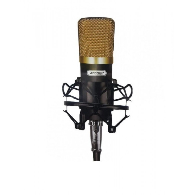 Microfon profesional Andowl Q-Mic3 pentru inregistrari, metal | Okazii.ro