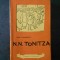PETRU COMARNESCU - N. N. TONITZA