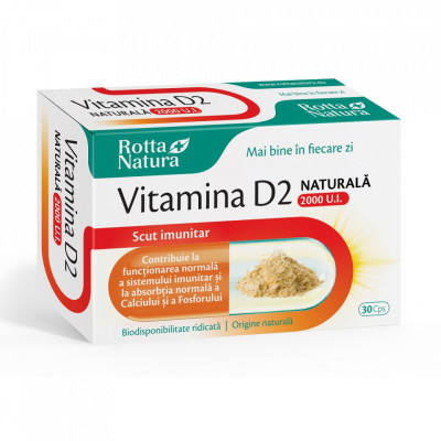 Vitamina d2 naturala 2000ui 30cps rotta natura foto
