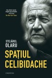 Spatiul Celibidache | Stejarel Olaru