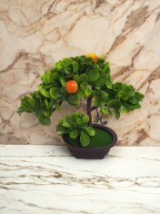 Copacel decorativ fructifer cu mere 28 cm