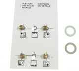 G30-30 INJECTOR GR ( LPG ) 4431900115 pentru aragaz, cuptor, plita ARCELIK / BEKO