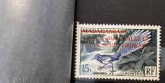Teritoriul Sudic si Antarctic Francez (TAAF) 1955 Fauna/ Pasari, serie MNH, 1v