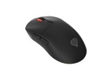 GENESIS Zircon XIII mouse