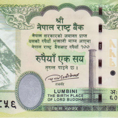 Bancnota Nepal 100 Rupii 2019 - P80 UNC