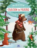 Cumpara ieftin Un Neasteptat Craciun In Padure, Annette Amrhein - Editura DPH