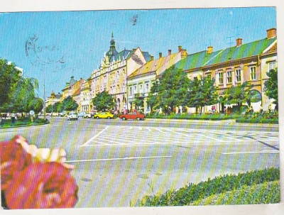 bnk cp Satu Mare - Piata Libertatii - circulata - marca fixa foto