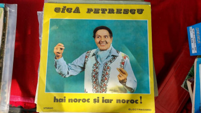 GICA PETRESCU HAI NOROC SI IAR NOROC VINIL FARA ZGARIETURI foto