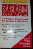 SA SLABIM FARA REGIM DAVID BROOKES