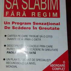 SA SLABIM FARA REGIM DAVID BROOKES