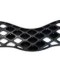 Grila radiator Toyota Yaris (Cp10), 04.2003-12.2005, 531010D060, 810405-J