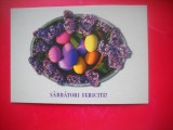HOPCT 25223 SARBATORI FERICITE - - FELICITARE PASCALA / PASTE - - - NECIRCULATA