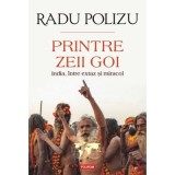 Printre zeii goi. India, intre extaz si miracol - Radu Polizu