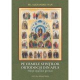 Pe urmele sfintilor ortodocsi din Apus. Sfintii spatiului german - Alexandru Nan