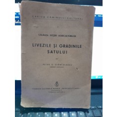 Livezile si gradinile satului Petre G. Stanculescu