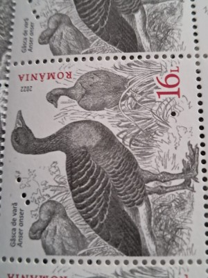 LP 2392 serie cu eroare perforatie interioara- Vanatul migrator si sedentar foto