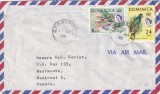 FILATELIE TEMATICA - PLIC REPUBLICA DOMINICANA TEMATICA PASARI PAPAGALI AIRMAIL, Fauna, Stampilat