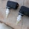 Motoras far Skoda Rapid