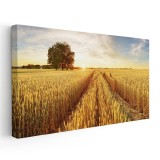 Tablou peisaj camp de grau cu copac la apus 1785 Tablou canvas pe panza CU RAMA 60x120 cm