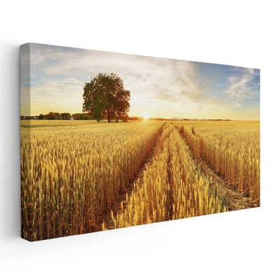 Tablou peisaj camp de grau cu copac la apus 1785 Tablou canvas pe panza CU RAMA 70x140 cm foto