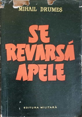 SE REVARSA APELE-MIHAIL DRUMES-217360 foto