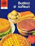 Cumpara ieftin Budinci si Sufleuri, Elena Rusu, 1977, Carte de Gastronomie Retete Culinare, Editura Ceres, Coperta Brosata, Stare Buna