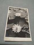 Cumpara ieftin CARTE POSTAL FELICITARE ROMANIA CIRCULATA 1946