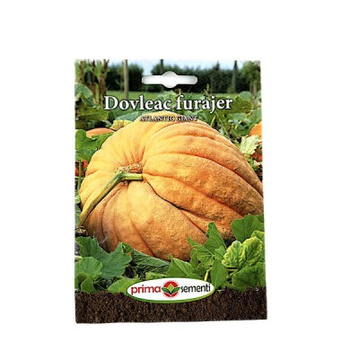Seminte dovleac furajer Atlantic Gigant 1 gr, Prima Sementi foto