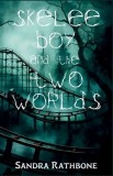 Skelee Boy and the Two Worlds: A Skelee Boy Book