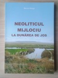 Marian Neagu - Neoliticul mijlociu la Dunărea de Jos