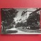 CARTE POSTALA - RPR - CLUJ - UNIVERSITATEA VICTOR BABES
