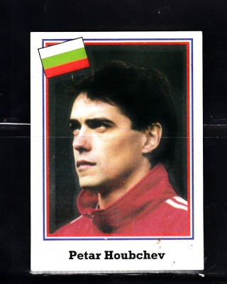 B10 - Sticker fotbal - Campionatul mondial USA - 1994 - nr 254 foto