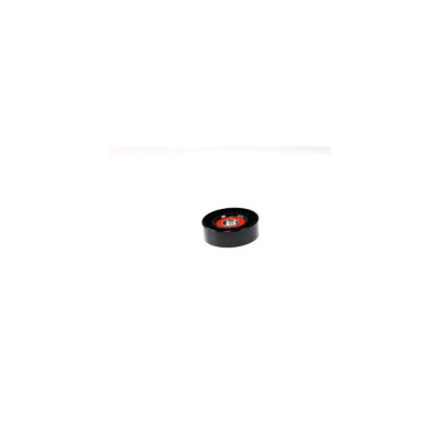 Rola ghidare MERCEDES-BENZ A-CLASS W168 DAYCO APV2205 foto