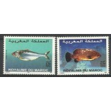 MAROC 2002 FAUNA MARINA PESTI