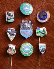 Lot 9 insigne Vanatoare