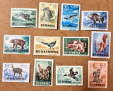 TIMBRE ROMANIA MNH LP404/1956 VANATOAREA -dantelat -Serie simpla