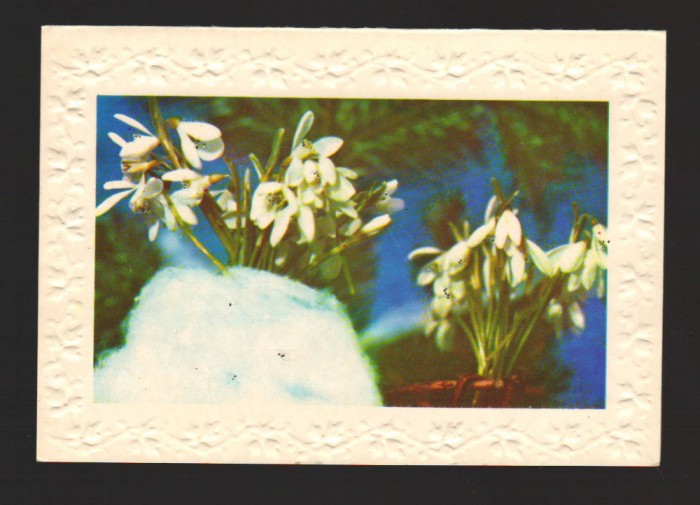 CPIB 20077 CARTE POSTALA - GHIOCEI